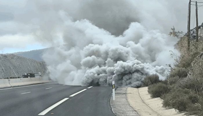 Žavinga diena pietų greitkelyje Tenerifės saloje TF-1