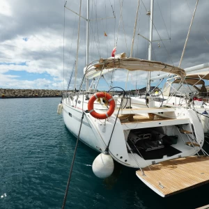 Plaukimas pas delfinus tenerifėje