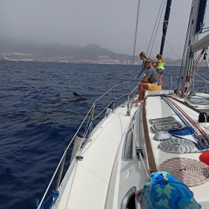Buriavimas jachta Tenerifeje